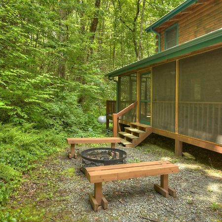 K6 Lodge Gather Around The Firepit Soak In The Hot Tub And Splash In The Creek Blue Ridge Bagian luar foto